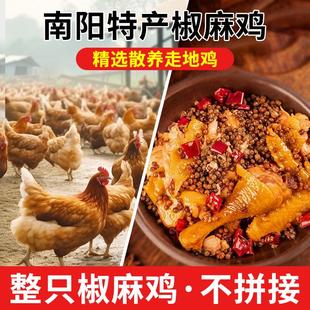冷吃椒麻鸡手撕麻椒鸡整只河南特产烧鸡麻辣鸡年货熟食老乡鸡
