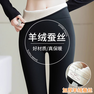 羊绒蚕丝热能鲨鱼裤女外穿秋冬季加绒加厚高腰打底裤芭比瑜伽裤