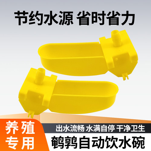 鹌鹑自动饮水碗喂水杯