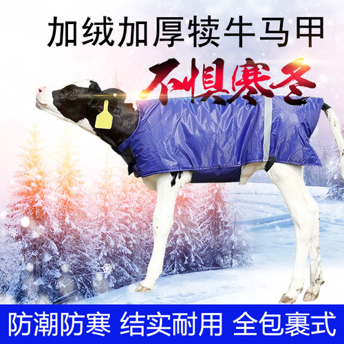 牛马甲小牛保暖衣防水防寒加绒