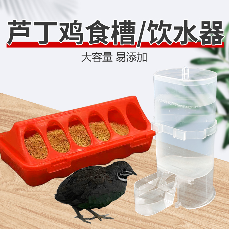 芦丁鸡鹌鹑食槽饮水器套装