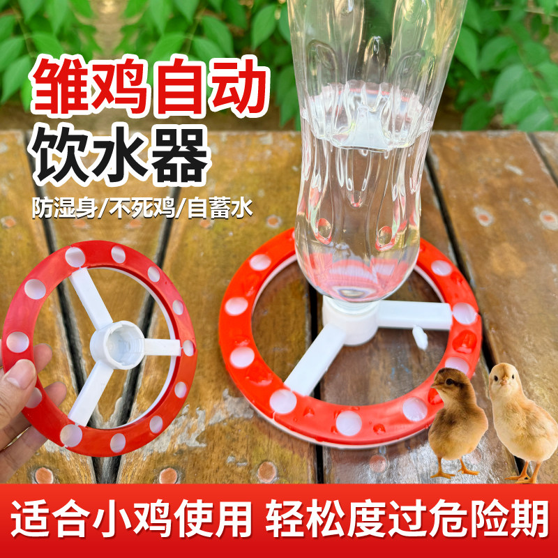 雏鸡防湿身防呛水自动喂水器