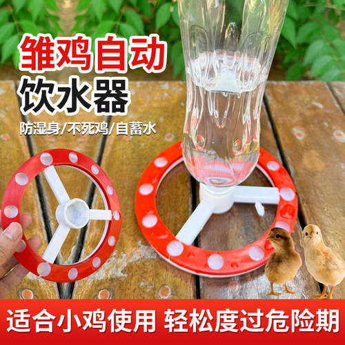 雏鸡防湿身防呛水自动喂水器