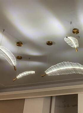 酒店售楼部羽毛吊灯别墅复式楼装饰商场沙盘楼道非标工程LED灯具