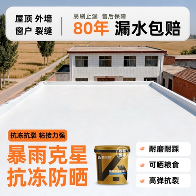 【推荐】屋顶防水补漏专用材料