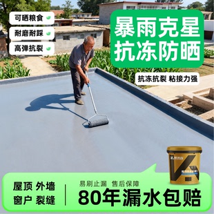 屋顶防水补漏材料房顶裂缝渗水漏水专用涂料楼顶补漏王防漏防水胶