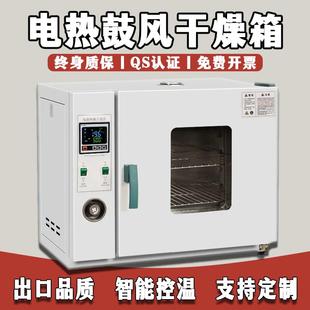 电热恒温鼓风干燥箱高温加热小型工业烤箱医用烘干机实验室烘箱
