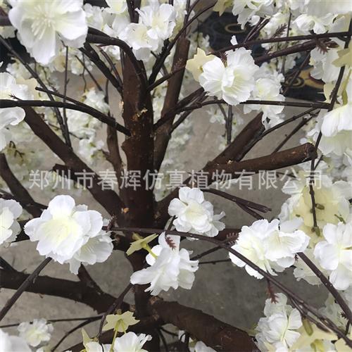 仿真白色樱花树大型客厅酒店垂钓假樱花树婚庆装饰延伸型樱花树