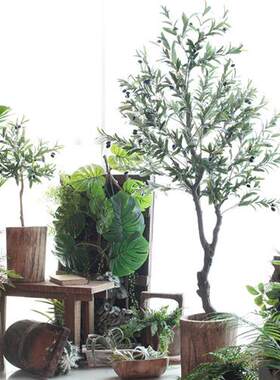 仿真植物橄榄树北欧风造型绿植盆栽家具室内装饰摆件高仿真仿真花