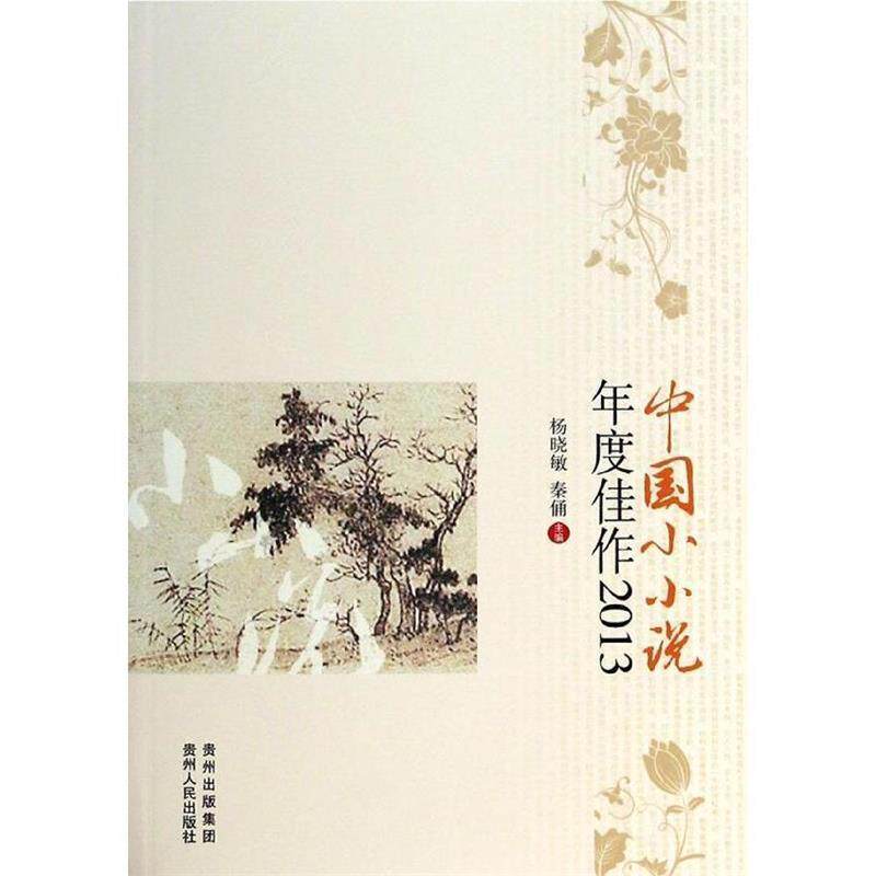 【正版书】 中国小小说年度佳作2013 杨晓敏, 秦俑主编 贵州人民出版社