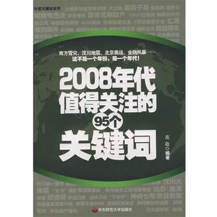 95个关键词 2008年代值得关注 高敬 正版