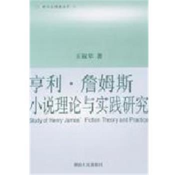 【正版】亨利 詹姆斯小说理论与实践研究 王敏琴
