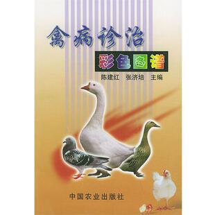 【正版书】 禽病诊治彩色图谱 陈建红,张济培 主编 中国农业出版社