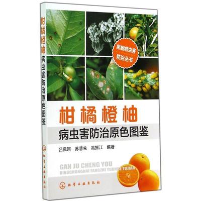 【正版书】 柑橘橙柚病虫害防治原色图鉴 吕佩珂,苏慧兰,高振江　编著 化学工业出版社