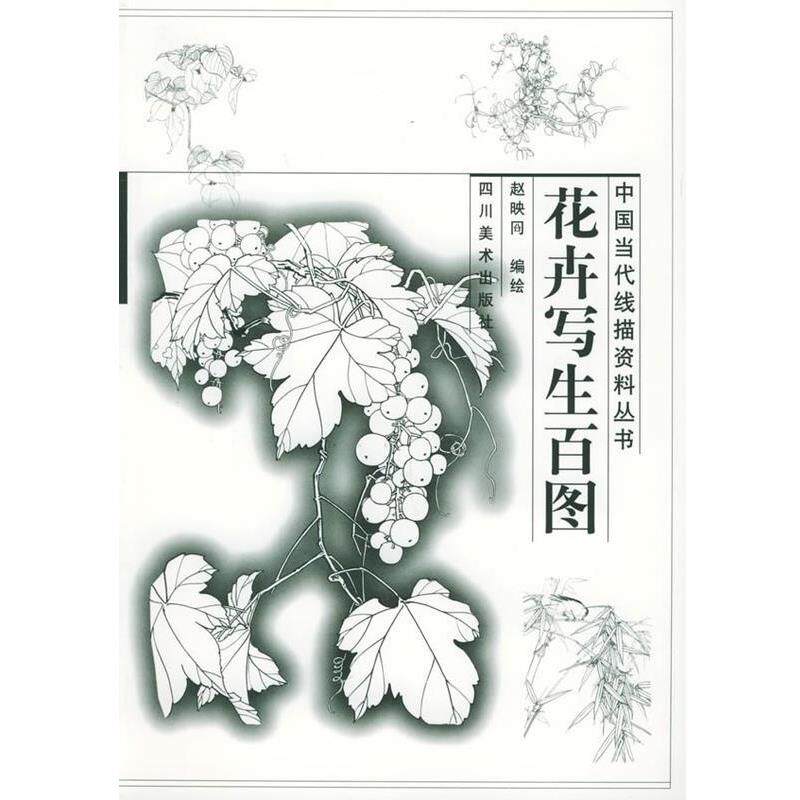 【正版书】 花卉写生百图 赵映 绘 四川美术出版社