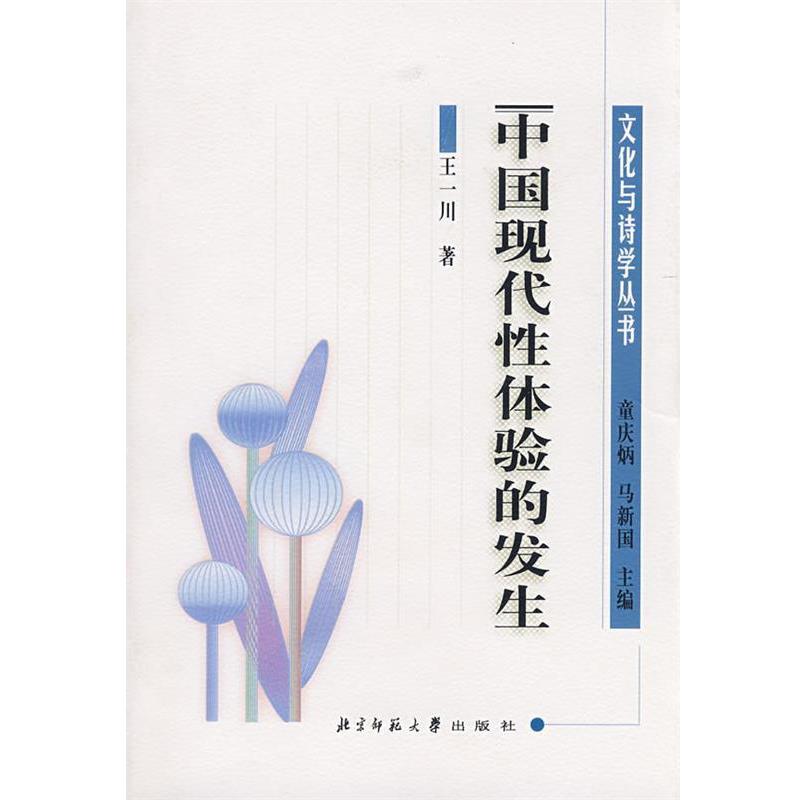 【正版】中国现代性体验的发生 清末民初文化转型与文学 王一川
