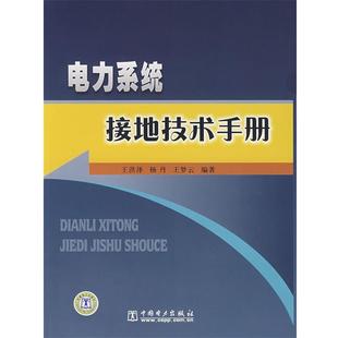 【正版】电力系统接地技术手册 王洪泽，杨丹，王梦云