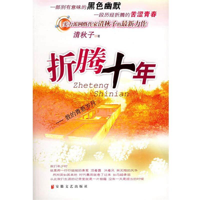 【正版书】 折腾十年:我的青葱岁月 清秋子 著 安徽文艺出版社