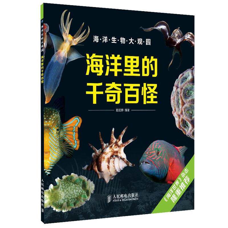 【正版】海洋生物大观园 海洋里的千奇百怪 姬云婷