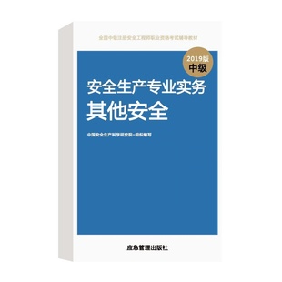 中国安全生产科学研究 注册安全工程师2019教材其他安全专业实务全国中级注册安全工 正版