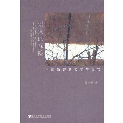 【正版】语词的探险 中国新诗的文本与现实 张桃洲 著