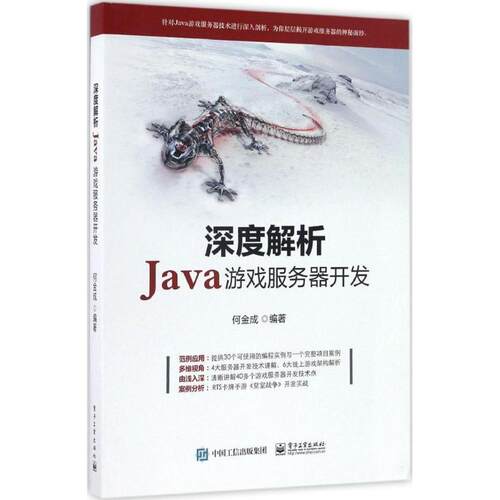 【正版书】 深度解析Java游戏服务器开发 何金成 著 电子工业出版社