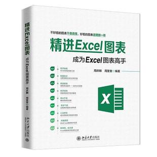 【正版】精进Excel图表成为Excel图表高手 周庆麟、周奎奎