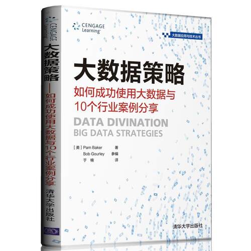 【正版书】 大数据策略 如何成功使用大数据与10个行业案例分享 [美]Pam Baker著 Bob Gourley参编 于楠 清华大学出版社