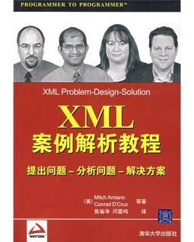 【正版】XML案例解析教程 提出问题 分析问题 解决方案 Mitch