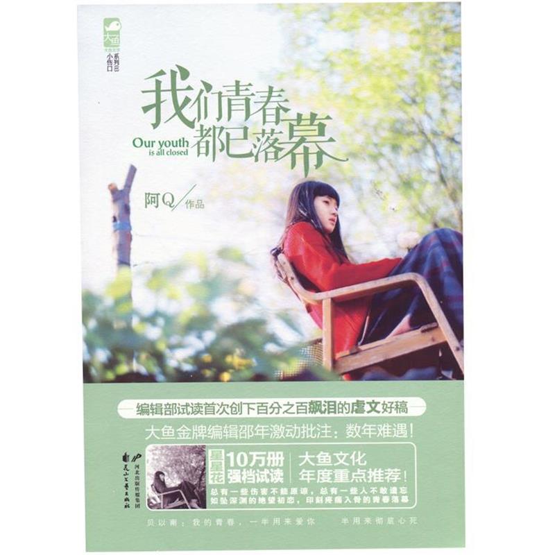 【正版】我们青春都已落幕 阿Q
