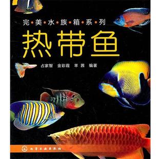 热带鱼 水族箱系列 占家智 正版