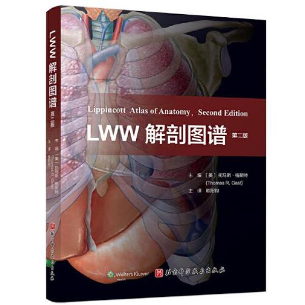 【正版】LWW解剖图谱