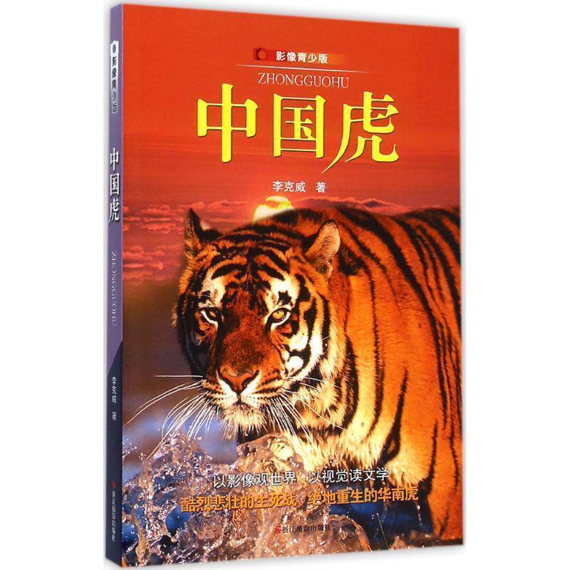 【正版书】 中国虎 李克威 浙江摄影出版社