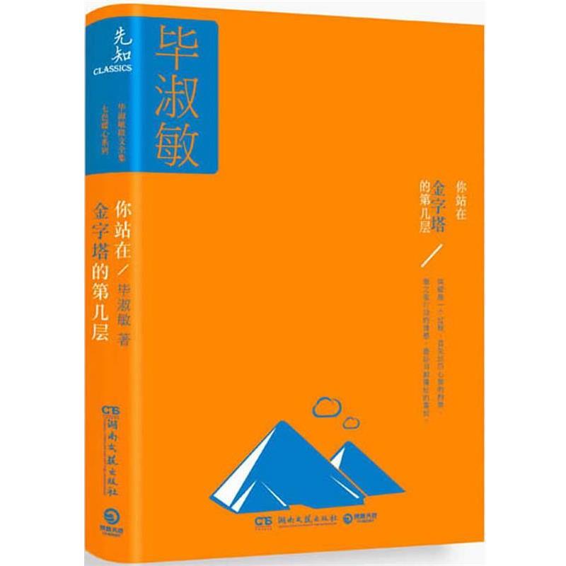 【正版】你站在金字塔的第几层 毕淑敏