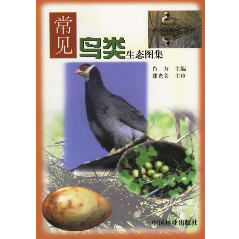 【正版书】 常见鸟类生态图集 肖方 主编 中国林业出版社