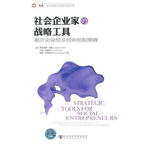 【正版书】 社会企业家的战略工具-提升企业型非营利组织绩效 (美)迪斯 社会科学文献出版社