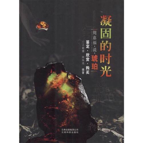 【正版书】 凝固的时光 江能健,周伟鸿 云南科学技术出版社