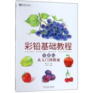 【正版书】 彩铅基础教程:零基础从入门到精通 王博文 著,霍星光 安徽美术出版社