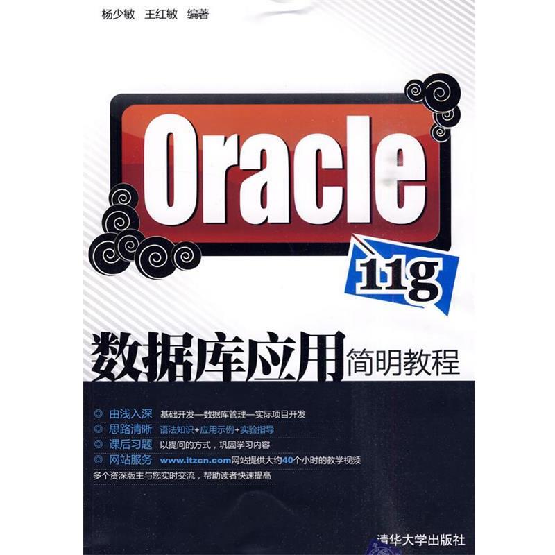 【正版】Oracle 11g数据库应用简明教程 杨少敏、王红敏