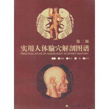 【正版书】 实用人体腧穴解剖图谱 徐国成,韩秋生,刘悦 辽宁科学技术出版社