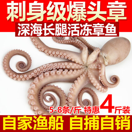 海捕长腿八爪鱼爆头章鱼4斤鲜活海鲜水产八抓鱼大长稍含冰