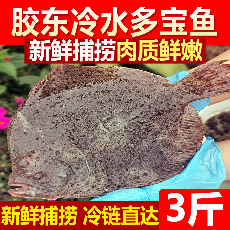 海鲜多宝鱼大菱鲆3斤4-6条