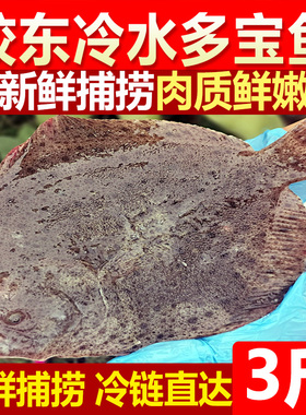 新鲜海鲜多宝鱼大菱鲆3斤4-6条鲜活速冻水产片比目鱼海鱼