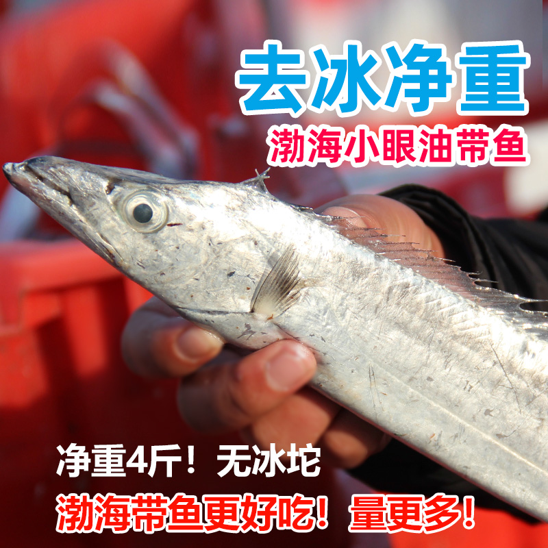 海捕整条4斤胶东小眼特级带鱼