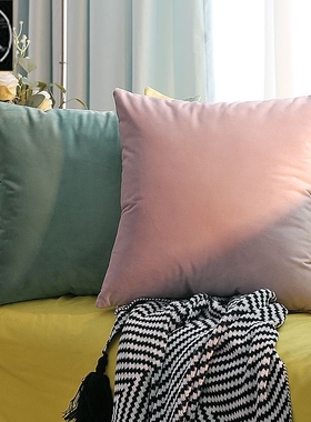 Solid-colored throw pillows Pink Cushions velvet backrest