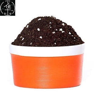 Soil and Flowers for Growing Flowers and Plants Potted Rose
