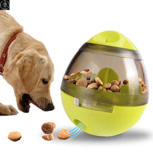 Dogleakybdputmrfince
