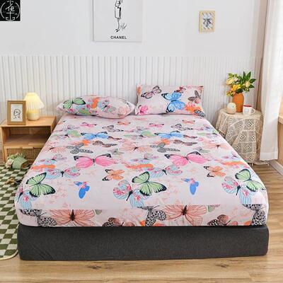 softbedshimarcovsoftb