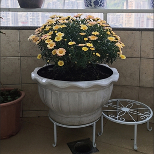 落地单盆移动盆景花凳室内阳台桌面绿萝吊篮绿植花盆架子铁艺花架