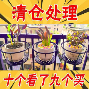 栏杆花架阳台花架置物架大号吊兰悬挂挂式铁艺花盆托架绿萝花架